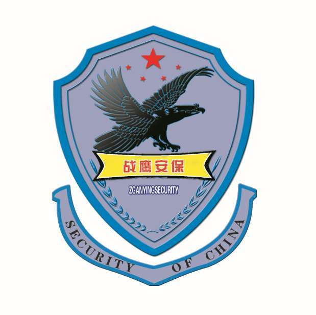 陕西战鹰.png